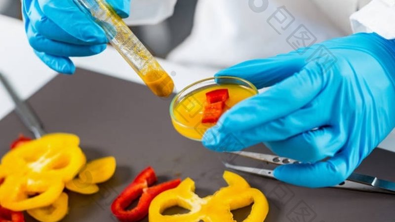 深圳食品批发货源网站：揭秘食品批发市场选品之道